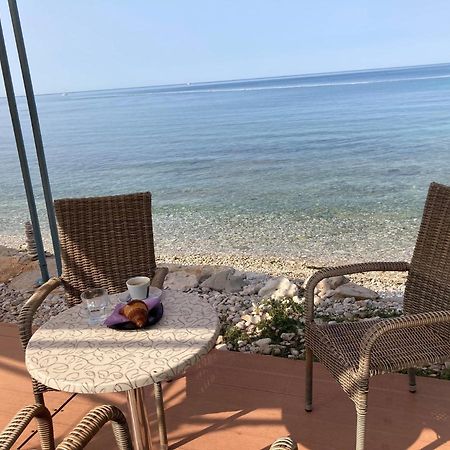 Ferienwohnung Sommer Novigrad  Zewnętrze zdjęcie