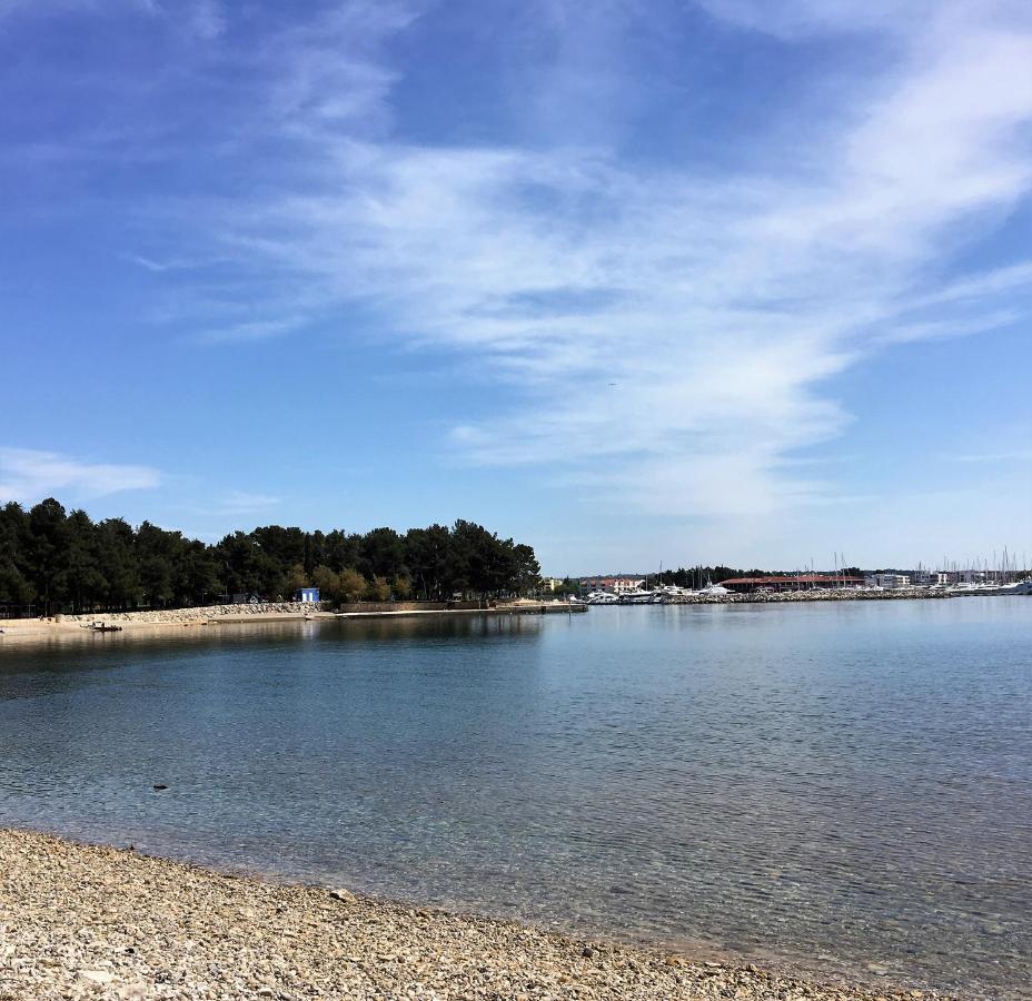 Ferienwohnung Sommer Novigrad  Zewnętrze zdjęcie