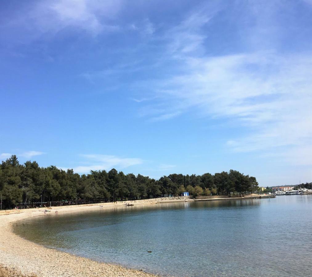 Ferienwohnung Sommer Novigrad  Zewnętrze zdjęcie